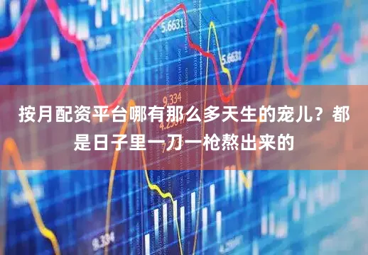 按月配资平台哪有那么多天生的宠儿？都是日子里一刀一枪熬出来的